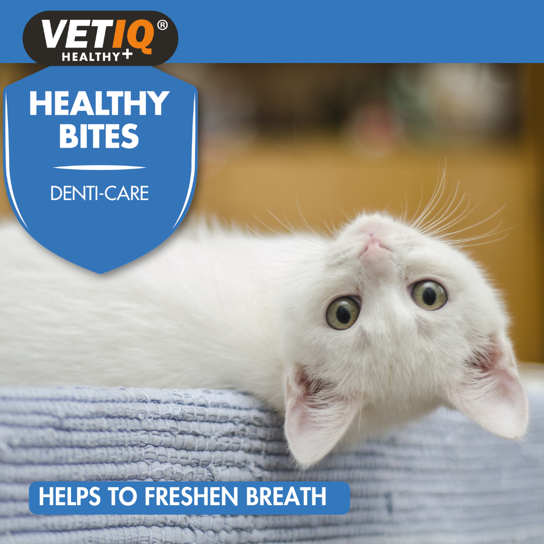 VETIQ® Healthy Bites Denti-Care For Cats & Kittens (65g)