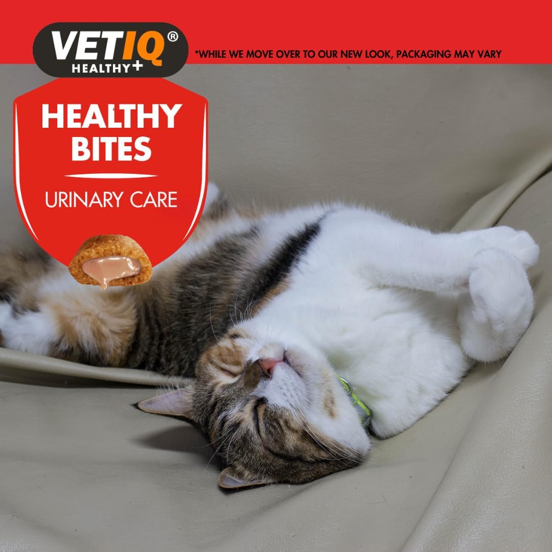 VETIQ® Healthy Bites Urinary Care for Cats & Kittens (65g) (Copy)