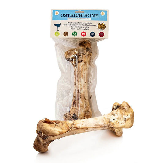 Jr Large Ostrich Bone (1 piece)