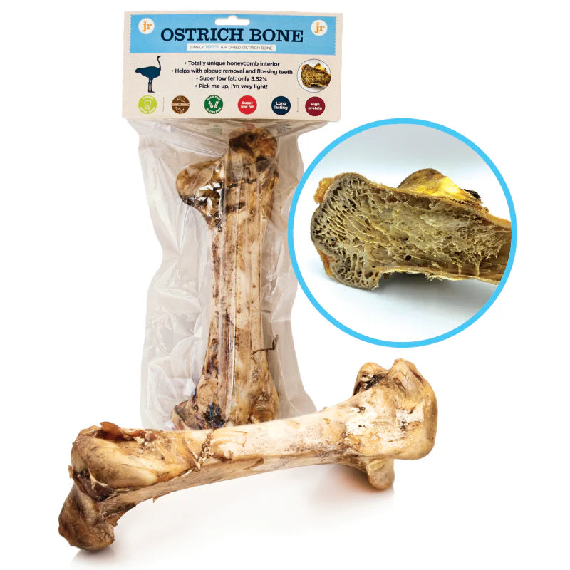 Jr Large Ostrich Bone (1 piece)