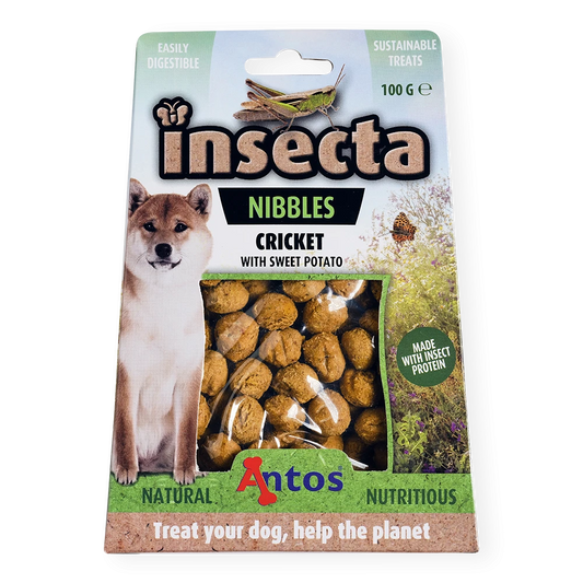Insecta Nibbles Cricket & Sweet Potato 100g