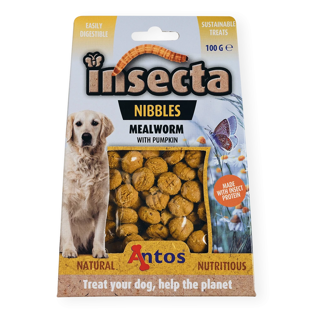 Insecta Nibbles Mealworm & Pumpkin 100g