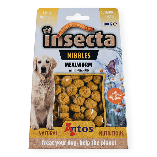 Insecta Nibbles Mealworm & Pumpkin 100g