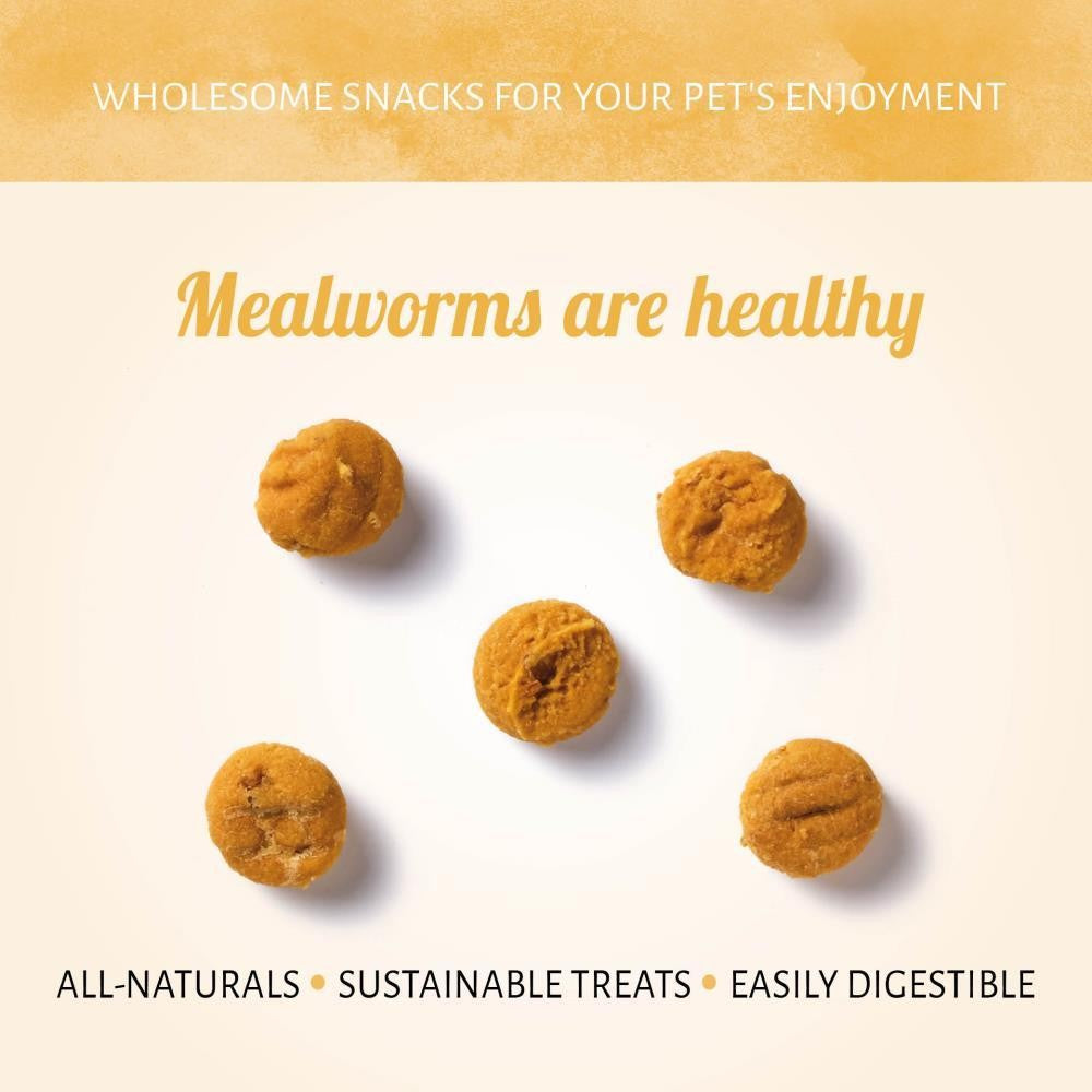 Insecta Nibbles Mealworm & Pumpkin 100g
