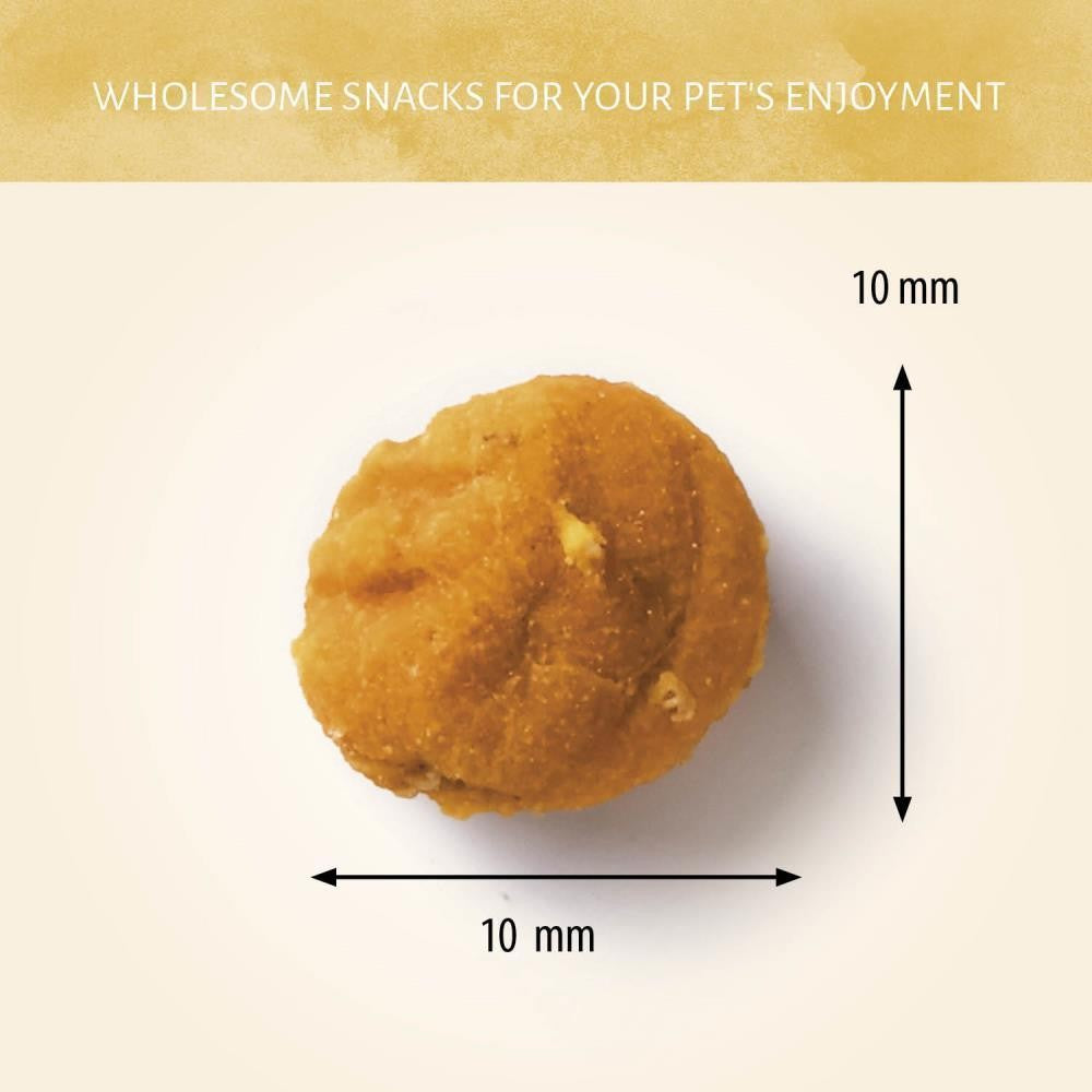 Insecta Nibbles Mealworm & Pumpkin 100g