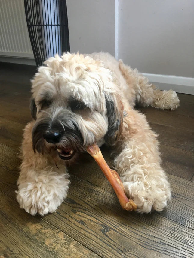 Jr Beef Tendons (250g)
