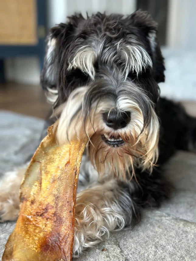 Jr Premium Moon Bone (No actual bone) (pack of 2)