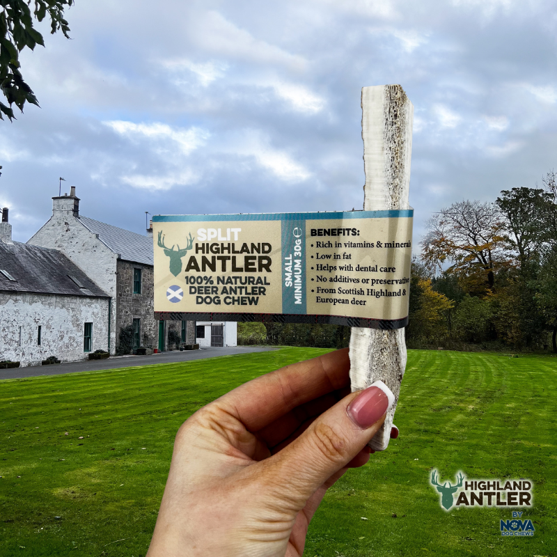 NOVA Antler Split Small (minimum 30g)