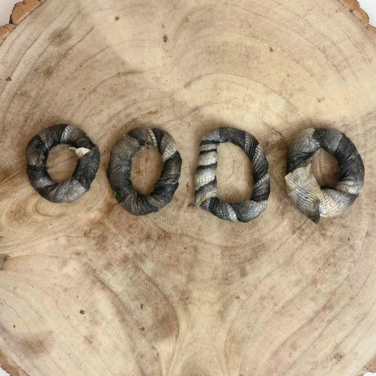NOVA Fish Skin Donuts