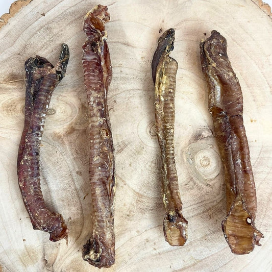 NOVA Lamb Trachea (mixed sizes)