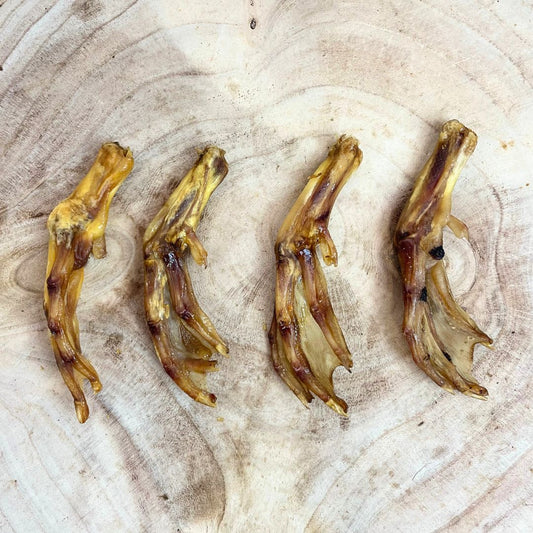 NOVA Duck Feet