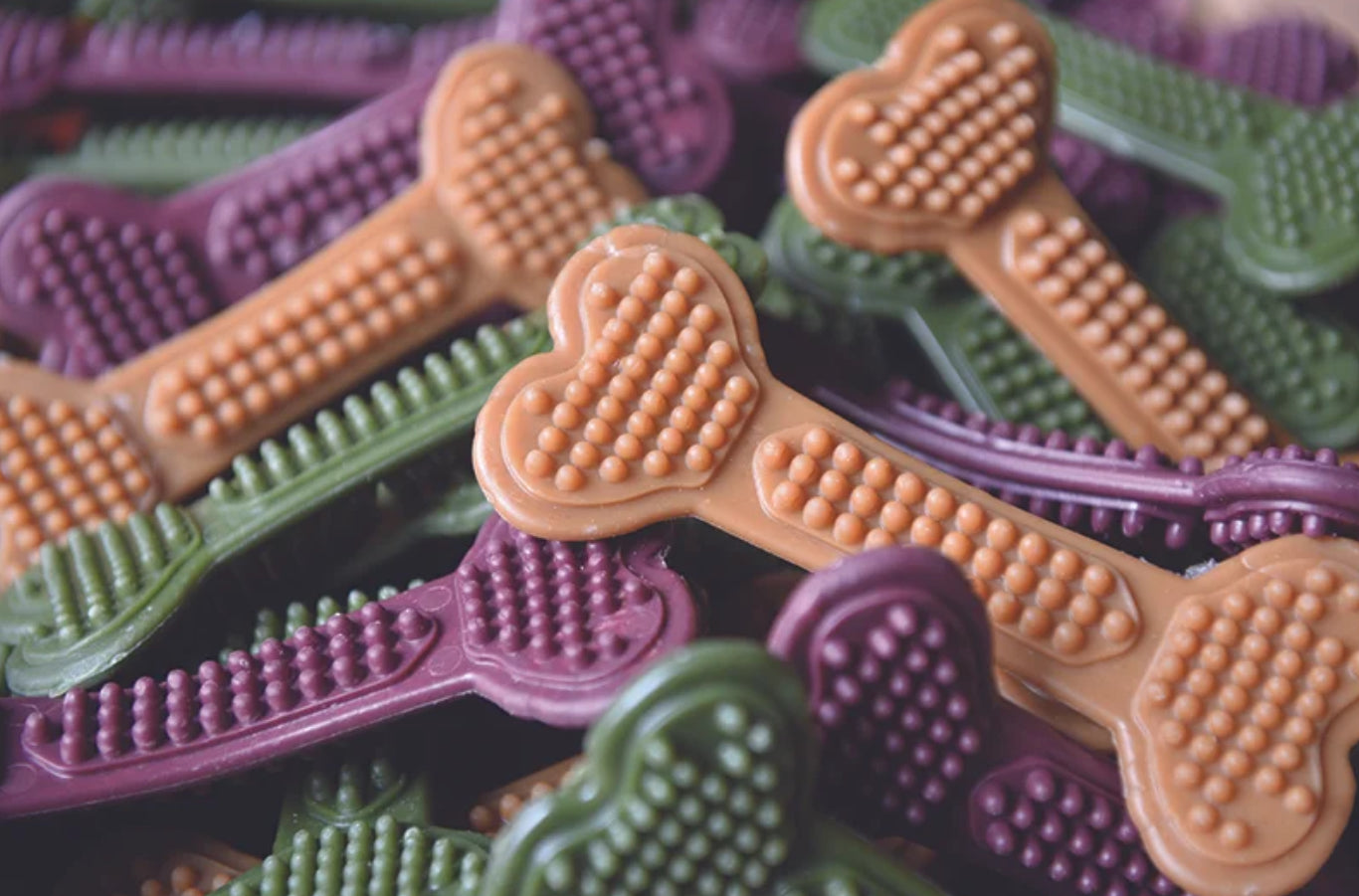 Vegan Dog Chews - BumpiBones - Spinach&Apple / Blueberry / Peanut Butter&Banana Dental Bone