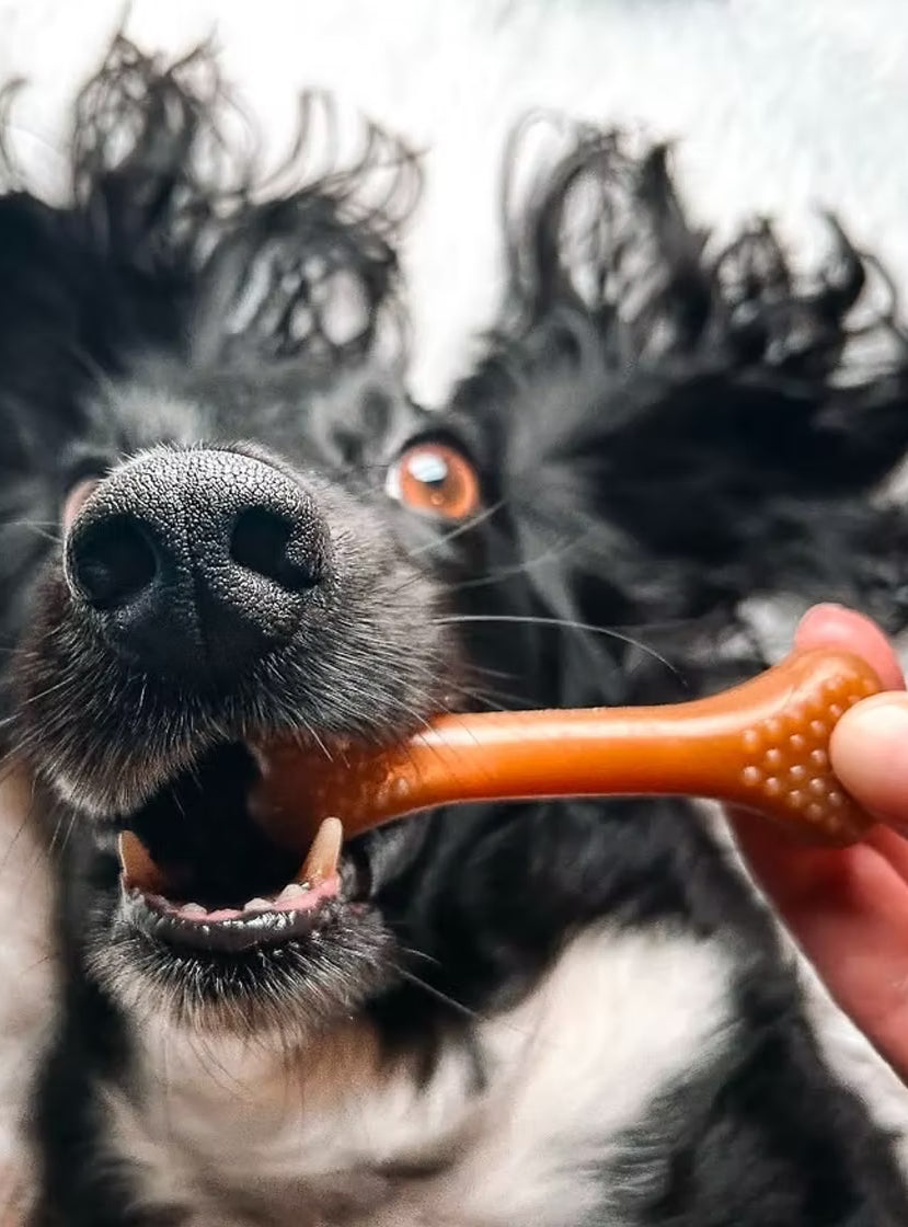 Vegan Dog Treats - Mak’s Patch Nubby Bones