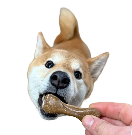 Vegan Dog Treats - Mak’s Patch “Time for Bed” Biscuits (7cm)