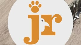 Jr Knee Tendon (Pack of 2)