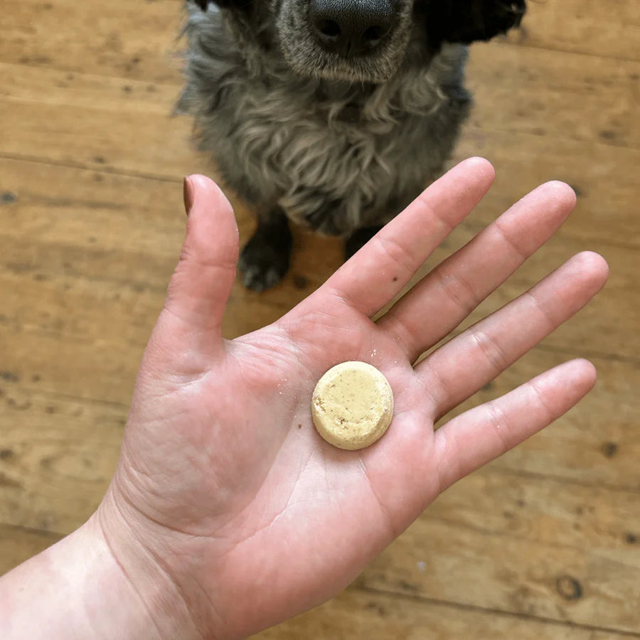 Beco : Free Range Chicken Liver Dog Treats with Parsnip & Honey (60g)