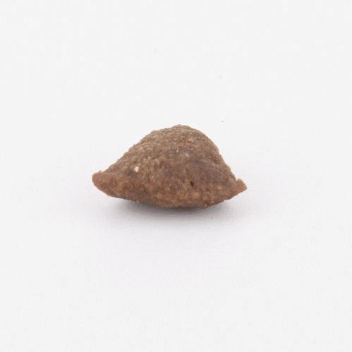 FISH4DOGS : Training Super Stars Sardine (150g)