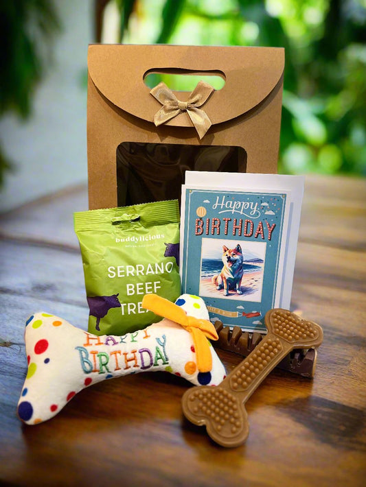 Doggy BiRthDay Gift Bag - Mix3