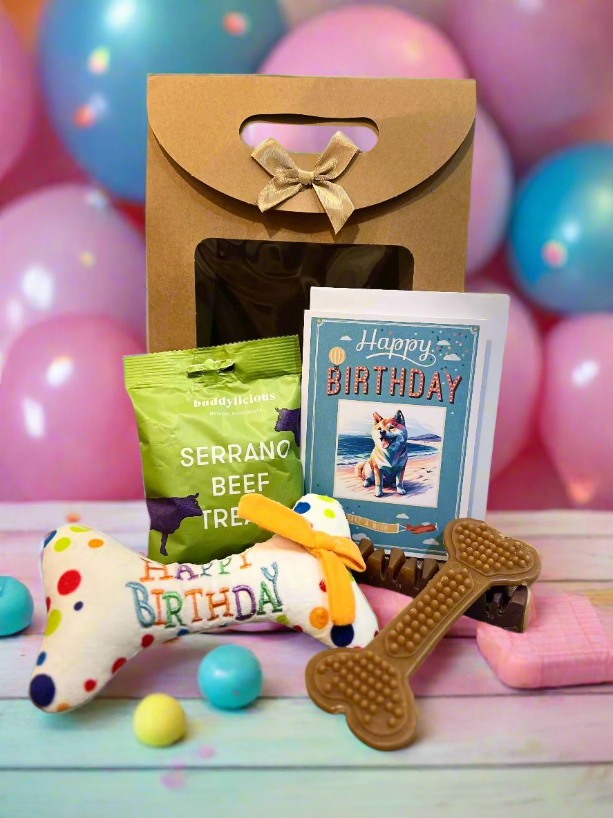 Doggy BiRthDay Gift Bag - Mix3