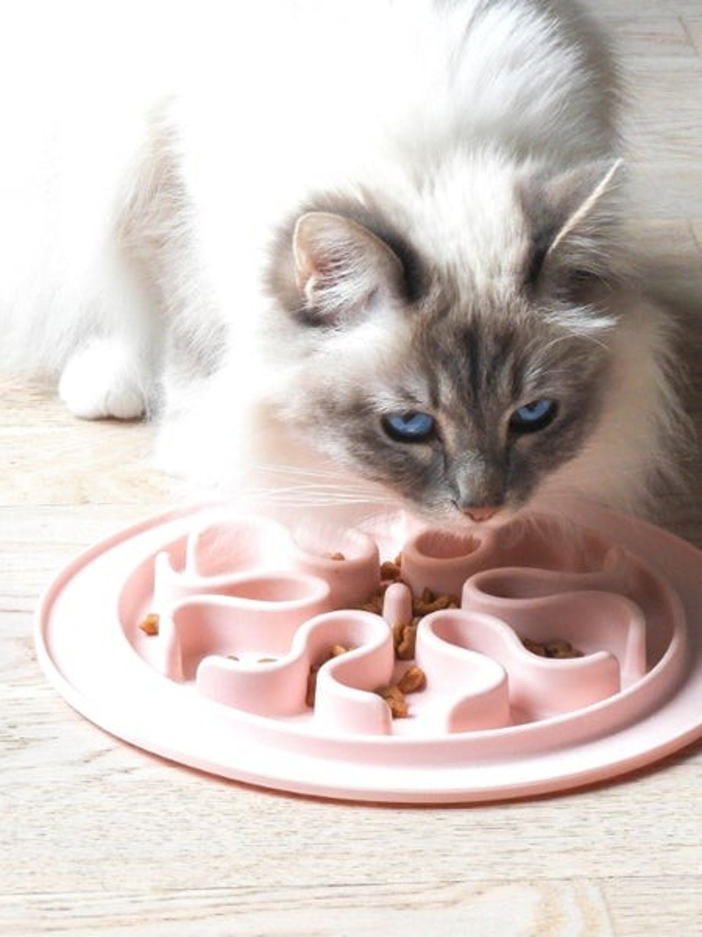 inooko Cat anti-glutton bowl (4 colorways)