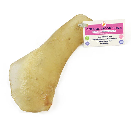 Jr Golden Moon Bone (no actual bone)