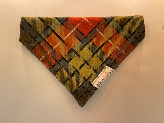 Scottish Royal Dog Bandana - Orange /Yellowish green