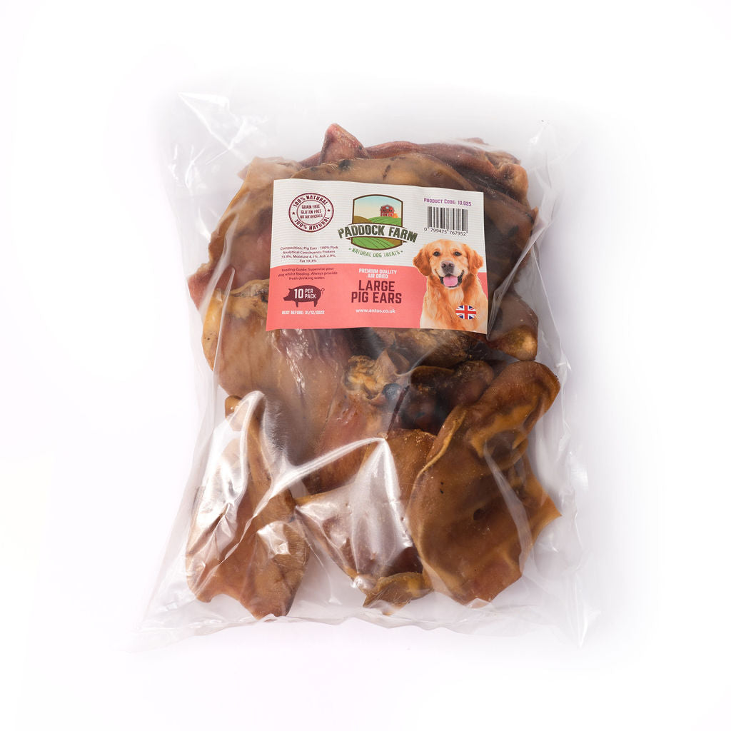 NOVA Large Pig Ears (10 pack)