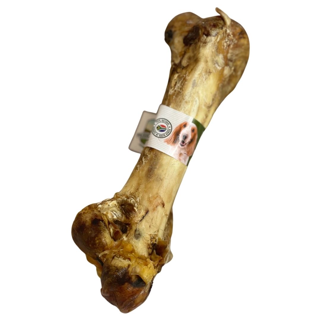 NOVA Ostrich Dino Bone