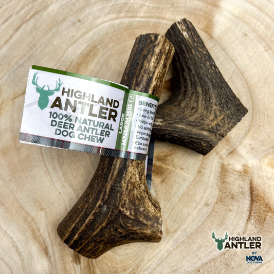 NOVA Antler Large (Min 150g)