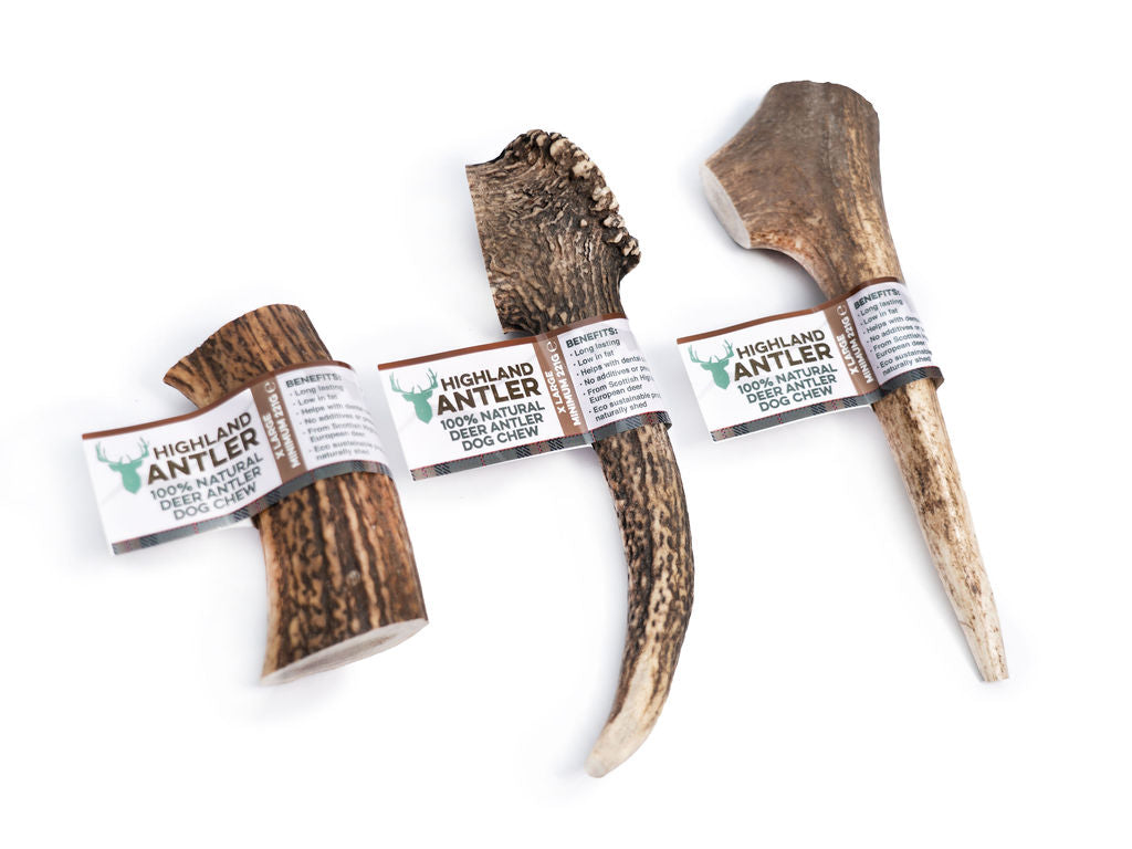 NOVA Antler X-Large (Min 220g)