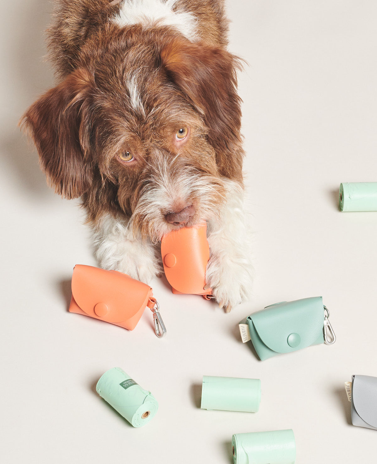 PAWNESS Vegan Leather Poo bag Holder - Coral