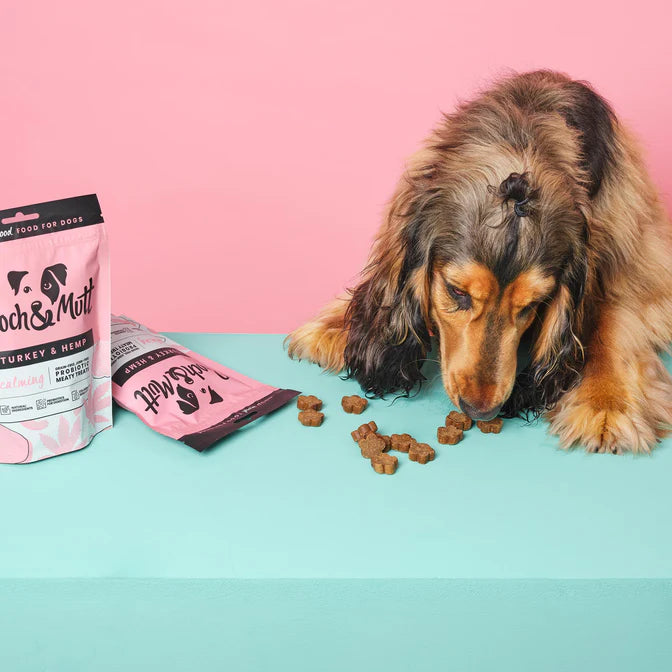 Calming with PROBIOTIC Meaty Treats (120g)