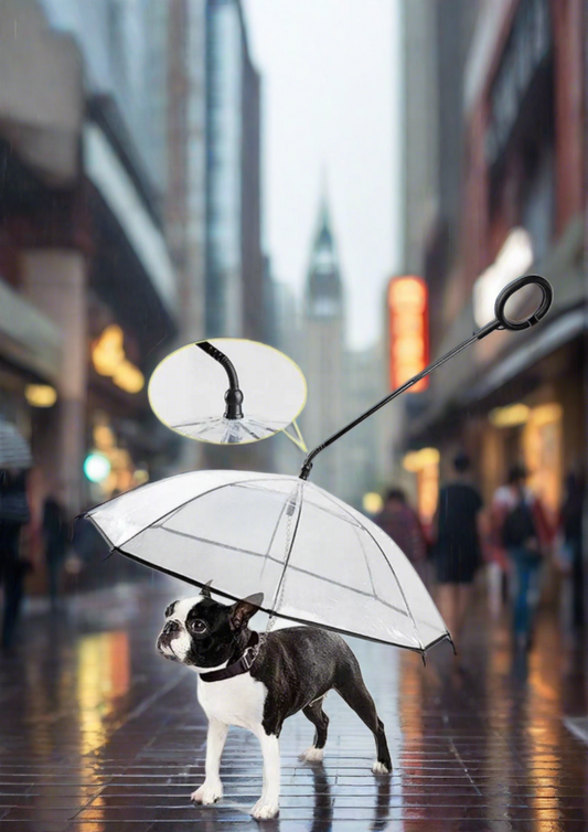 Pet Umbrella