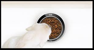 PetGeek 2 In 1 Smart Bowl