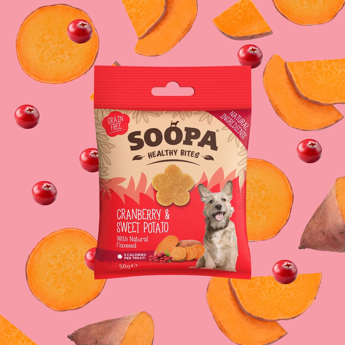 SOOPA Cranberry & Sweet Potato Healthy Bites