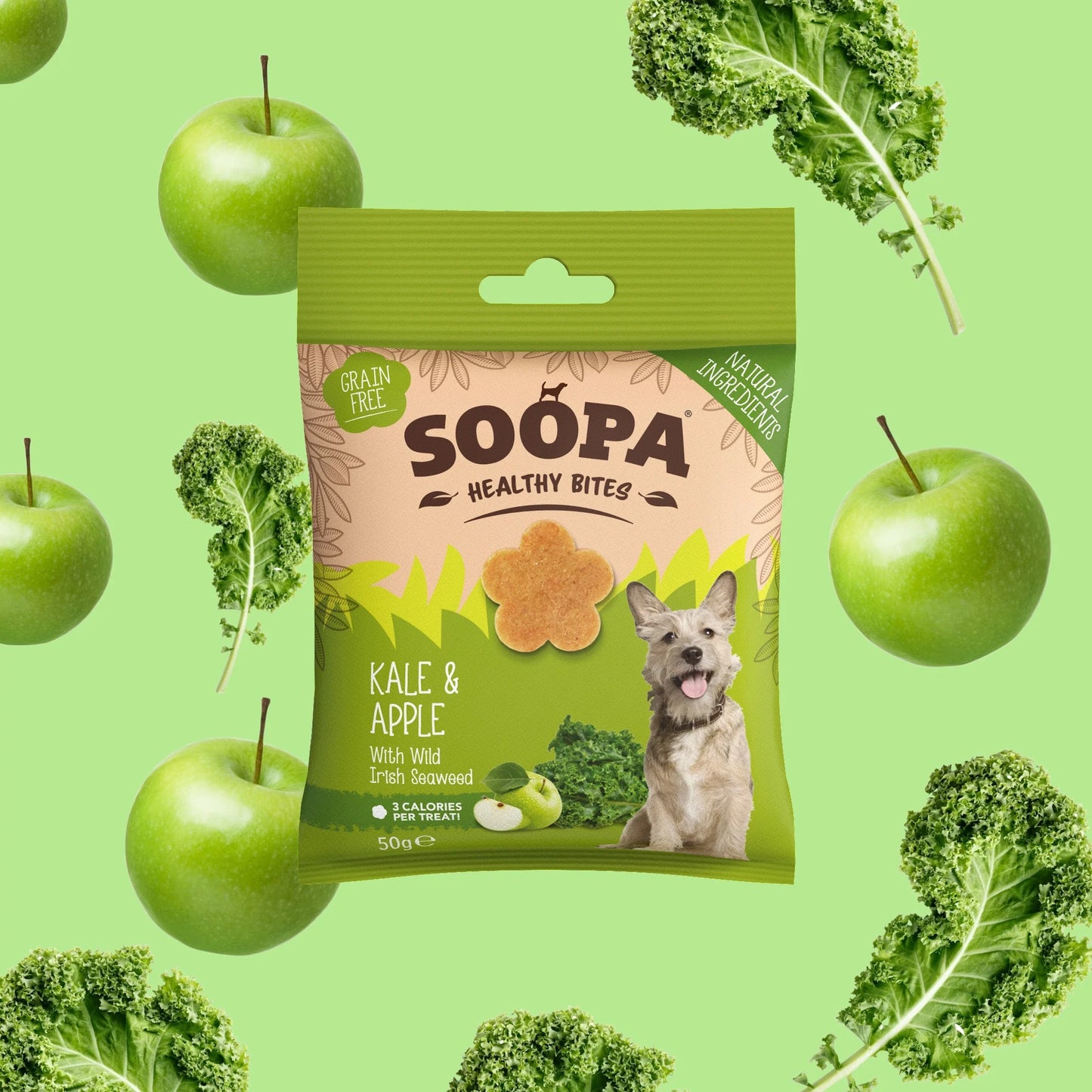 Doggy BiRthDay Gift Bag - Veggie