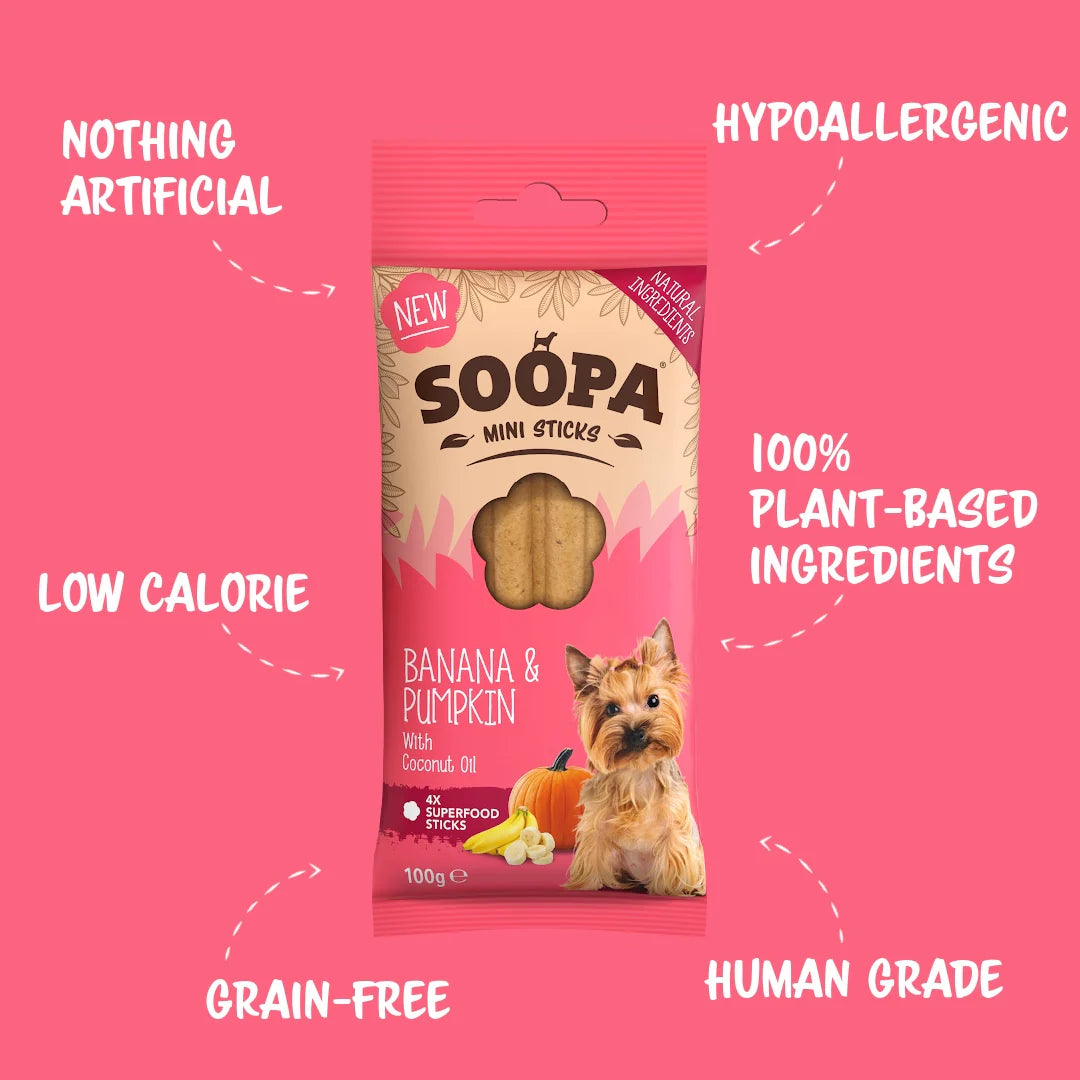 SOOPA Banana & Pumpkin Dental Sticks for Mini Dogs