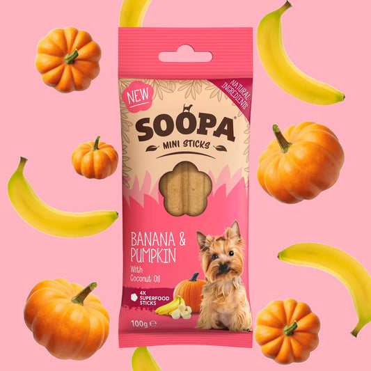 SOOPA Banana & Pumpkin Dental Sticks for Mini Dogs