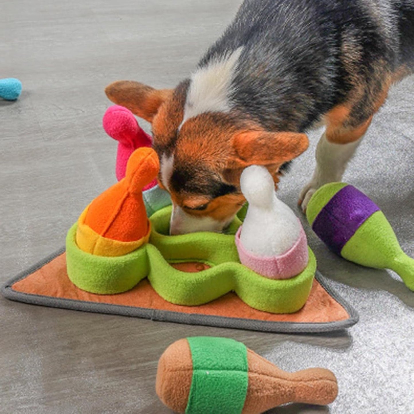 Dog Nosing Mat Foraging Training Feeding