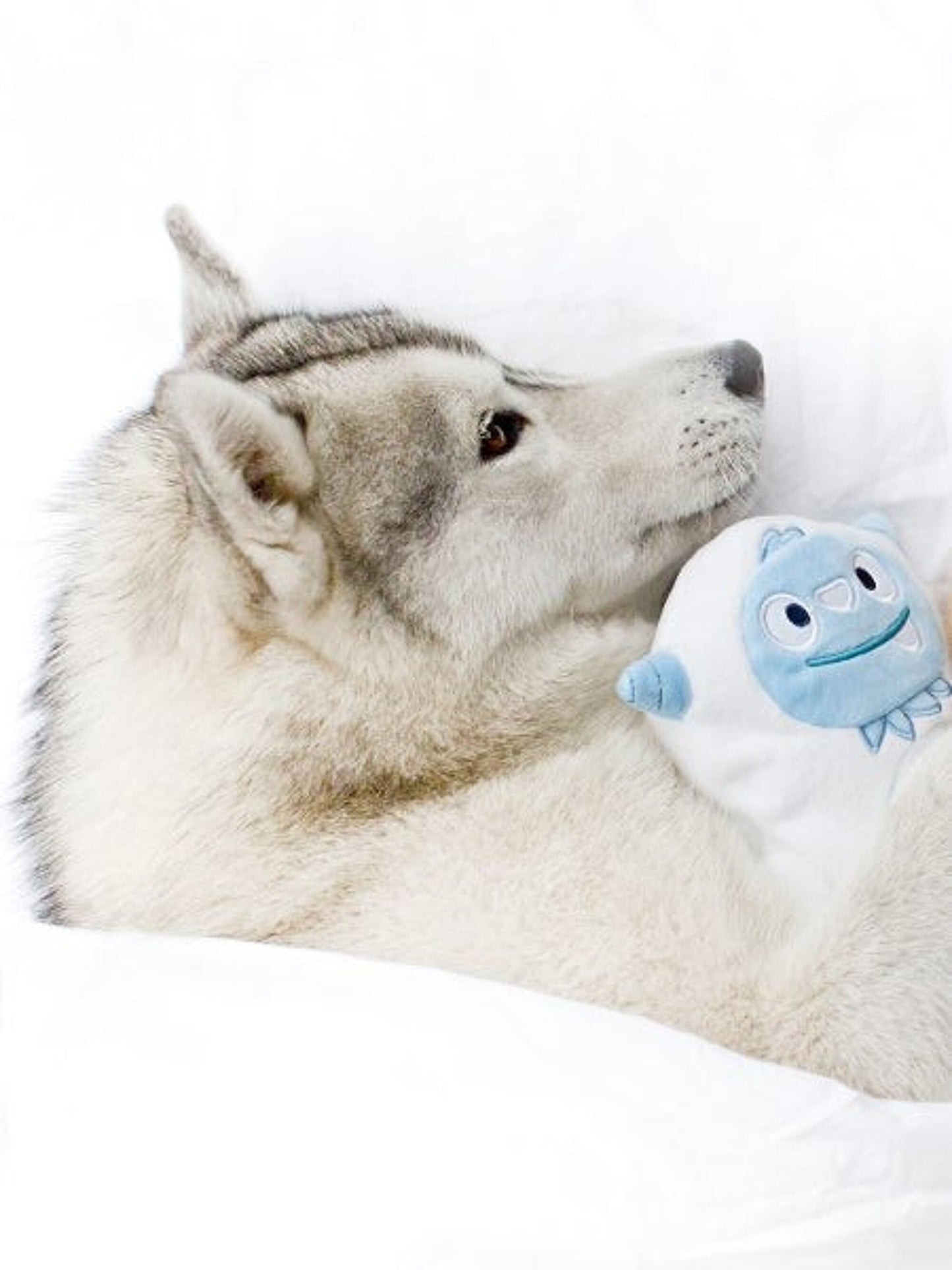 inooko Ollie the Yeti - Dog Plush (100% recycled polyester)