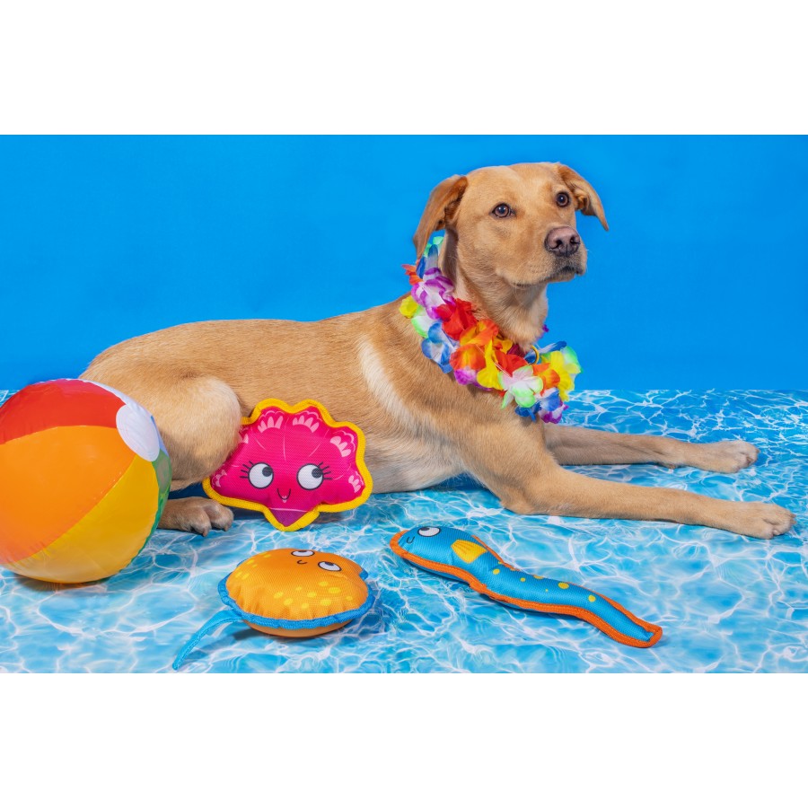 SmartChoice Floating Summer Plush Dog Toy
