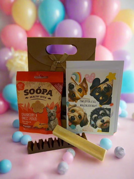 Doggy BiRthDay Gift Bag - Veggie