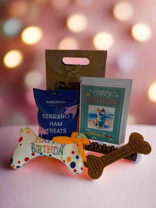 Doggy BiRthDay Gift Bag - Mix3